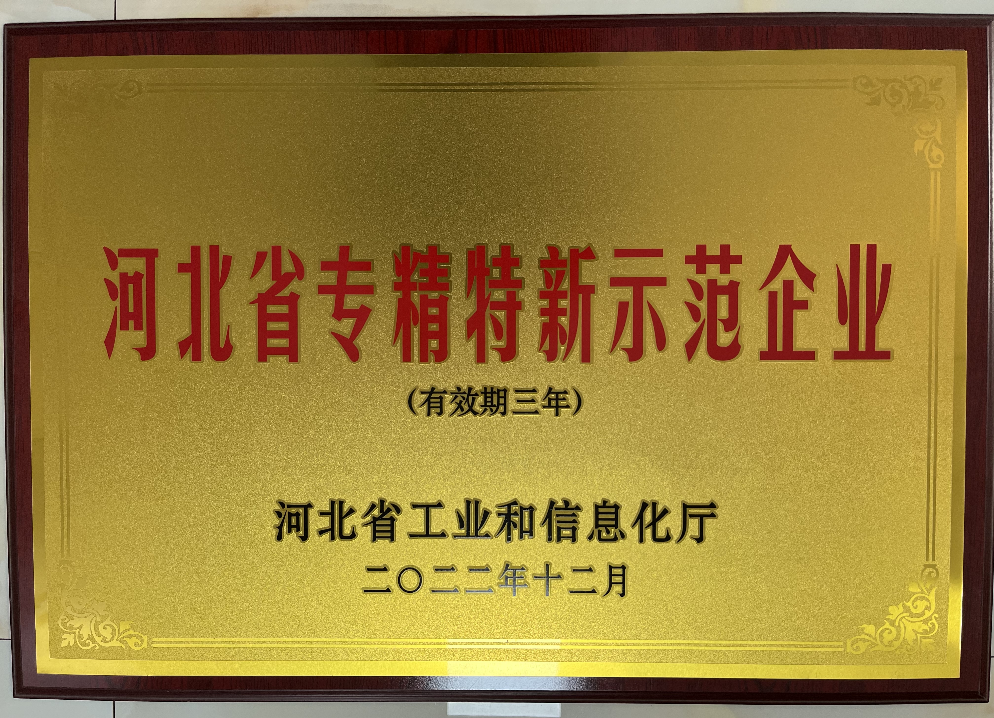 河北美星：入選2022年河北省專精特新示范企業(yè)